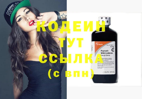 дживик Абаза