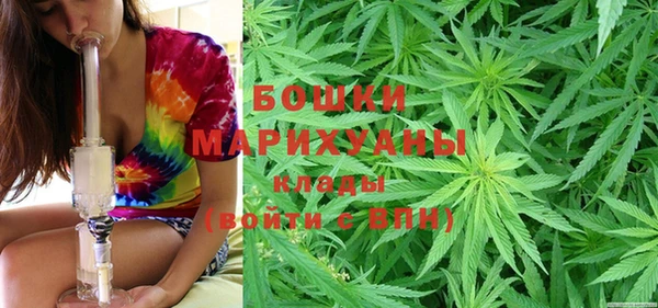 PSILOCYBIN Зерноград
