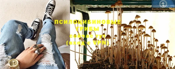 спайс Абдулино