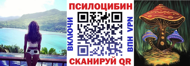 Галлюциногенные грибы Psilocybine cubensis где найти Абдулино